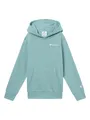 Produktbild: Champion Hoodie in Türkis, Größe 158/164, cyan, Kinder