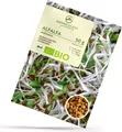 Produktbild: Alfalfa Sprossen Samen 50g - Microgreens Saatgut ideal für die Anzucht von knackigen Keimsprossen auf der Fensterbank