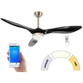 Produktbild: Sichler 2in1-WLAN-Deckenventilator & LED-Lampe, Sprachsteuerung, Timer,1000 lm