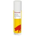 Produktbild: Eberspray BoarmateTM - Inhalt 250 ml