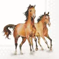 Produktbild: 20 Servietten Wild Horses Pferde Haustiere Reiterhof Bauernhof Zucht 33x33cm