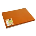 Produktbild: PROnappe Platzsets Tiss Lack orange 30,0 x 40,0 cm, 500 St.