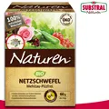 Produktbild: Substral Naturen 60g Netzschwefel Mehltau-Pilzfrei (6 Sachets à 10g) Schutz Beet