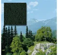 Produktbild: Busch Modelleisenbahn-Baum Busch Belaubungsmaterial Moos für Bäume und Unkraut 500 ml, auswä..., Spur Spurunabhängig