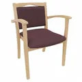 Produktbild: Erides Seniorenstuhl Alexander mit Armlehnen – Pflegestuhl, Buche massiv, gepolstert, ergonomisch, stabil, fertig montiert, für Senioren, Pflege & Praxis (Stoff, Kariba Bordedeaux)