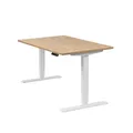 Produktbild: boho office® Schreibtisch Homedesk, Weiß elektrisch höhenverstellbar, Tischplatte Wildeiche 120 x 80 cm