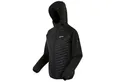 Produktbild: Regatta Softshelljacke Andreson Hybrid Softshelljacke