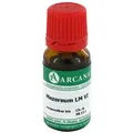 Produktbild: Mezereum Arcana Lm 6 Dilution