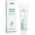 Produktbild: GEHWOL FUSSKRAFT Repair Creme 125ml
