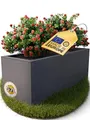 Produktbild: Ondis24 Pflanzkübel Vulkan, 57L Pflanzvolumen, rechteckig, Blumenkasten mit Wasserspeicher, Balkon Terrasse, Blumenkübel (Anthrazit)