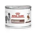 Produktbild: ROYAL CANIN Recovery 195g