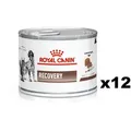 Produktbild: ROYAL CANIN Recovery 12x195g