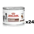 Produktbild: ROYAL CANIN Recovery 24x195g