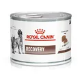 Produktbild: Royal Canin Vet Dog/Cat Recovery, 1er Pack (1 x 195 g)
