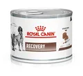 Produktbild: 9003579307717 ROYAL CANIN Recovery Nassfutter für Hunde und Katzen Mousse Geflüg