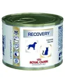 Produktbild: Royal Canin Recovery 195 Gr