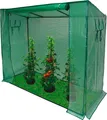 Produktbild: Tomaten Gewächshaus 200/80/170cm