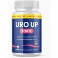 Produktbild: URO UP FORTE im Maxi-Pack (60 Kapseln)