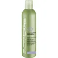 Produktbild: Super Brillant Care Scalp Energizing Shampoo 250 ml