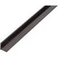 Produktbild: Winkelprofil aus Kunststoff, 1000 x 25 x 25 mm, schwarz