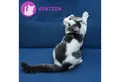 Produktbild: Feliway Katzenstreu FELIWAY® Classic Spray 60ml – entspannte Katzen zuhause und unterwegs