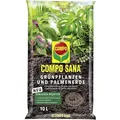 Produktbild: Compo Sana Grünpflanzen- Und Palmenerde 10l