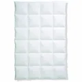 Produktbild: Centa Star Moonlight Warm Daunendecke mit 2 cm Innensteg Winterbett Decke 5116