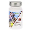 Produktbild: Vitamin B12 Lutschtabletten 60 St