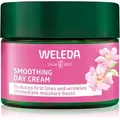 Produktbild: Weleda Wild Rose & White Tea aufhellende Tagescreme 40 ml