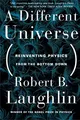 Produktbild: A Different Universe: Reinventing Physics from the Bottom Down