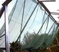 Produktbild: Halls Gewächshaus Zubehör Schattierung Grösse 150 x 250 cm in grün