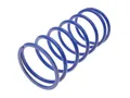 Produktbild: Gegendruckfeder Polini +33% für Morini, Suzuki