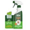 Produktbild: Green Hero Spinnen-Ex Spray zur Spinnenbekämpfung 500ml, Fernhaltemittel gegen Spinnen, Vertreibungsmittel, Innen und Außen, langfristige Spinnenabwehr,