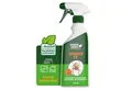 Produktbild: GreenHero Vergrämungsmittel Spinnen-Ex Spray zur Spinnenbekämpfung, 500 ml