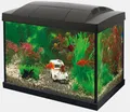 Produktbild: Superfish Aquarium Start 20 schwarz Goldfish Kit LED