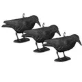 Produktbild: Relaxdays Vogelabwehr Krähe sitzend, Krähe aus Kunststoff, schwarz, 3 Stück