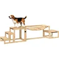 Produktbild: Pawhut - Hunde Agility Set, 4er-set Hundetraining Mit Brücke, Treppe, Plattform, Agility-ausrüstung Aus Tannenholz Für Große Hunde Bis 40 Kg, Naturholz