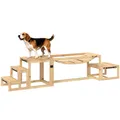 Produktbild: Agility-Set für Hunde, Hundetrainings-Konstruktion mir Brücke, Treppe, Plattform