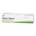 Produktbild: DHU Halicar Salbe N, 100 g Salbe