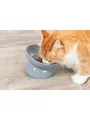 Produktbild: Trixie Ergonomic Feeding Bowl Ceramic XXL 0.35L 17cm TX24805