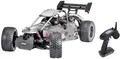 Produktbild: Reely Carbon Fighter III Limited-Edition 1:6 RC Modellauto Benzin 1792251