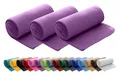 Produktbild: wometo 3er Set Polar Fleecedecke oekoTex 130x160 ca. 400g mit Anti-Pilling und Kettelrand lila violett