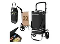 Produktbild: 24MOVE® Einkaufstrolley VEHLO 3in1 Trolley faltbarer Einkaufswagen mit Kühlfach, schwarz