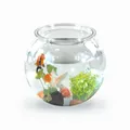 Produktbild: Mobiclinic® Pets, Kugelaquarium, Nemo, 4 Liter, Pet eco Kunststoff, Transparentes Design, 20x20x17, 5cm, Leicht zu reinigen, Robust, Ideal zur wohnungsdekoration, Wasserpflanzen