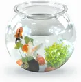 Produktbild: Mobiclinic® Pets, Kugelaquarium, Nemo, 4 Liter, Pet eco Kunststoff