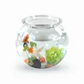 Produktbild: Mobiclinic Sphärisches Aquarium Nemo 4L
