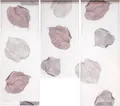 Produktbild: EXPERIENCE Scheibengardine Miniflächen Set Scheibengardine Blätter Digitaldruck 3-teilig, Stangendurchzug, transparent, Voile, 3 er Set Miniflächen