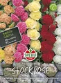 Produktbild: Stockrose (Stockmalve) Prachtmischung, gefüllt von Sperli-Samen