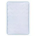 Produktbild: Bestlivings 4 Jahreszeitenbett mit Blauer Biese 240 cm x 260 cm