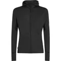 Produktbild: ICEBREAKER Icebreaker Herren Kapuzensweat Merino Blend 200 RealFleece